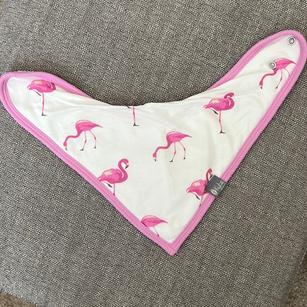 Kyte Baby Flamingo Bib
